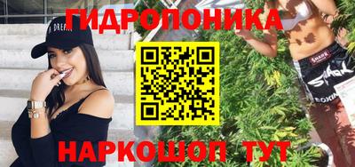 гашик Гусь-Хрустальный