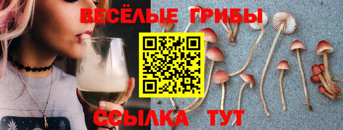Галлюциногенные грибы прущие грибы Кингисепп